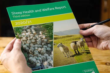 Sheep Health and Welfare Report. Third edition.